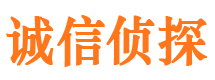 禹王台诚信私家侦探公司